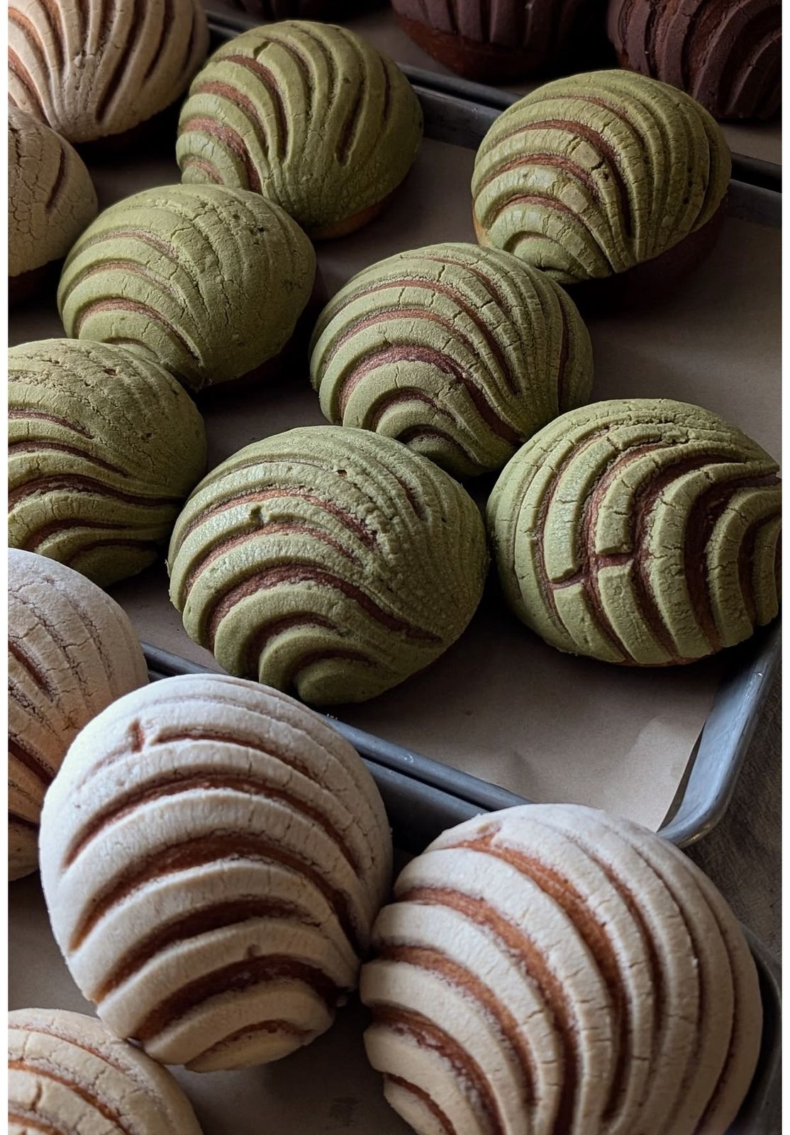 TALLER CONCHAS !! 24 JUNIO HORARIO 5:00 PM A 7:00PM